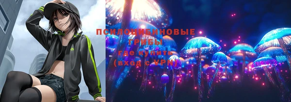 соль ск Нязепетровск