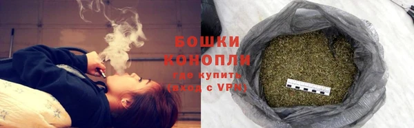 амф Новокубанск