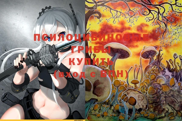 соль ск Новодвинск