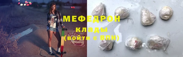 прущие грибы Ельня