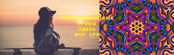 прущие грибы Всеволожск