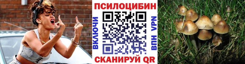 хочу наркоту Лукоянов дарк нет какой сайт Псилоцибиновые грибы MAGIC MUSHROOMS